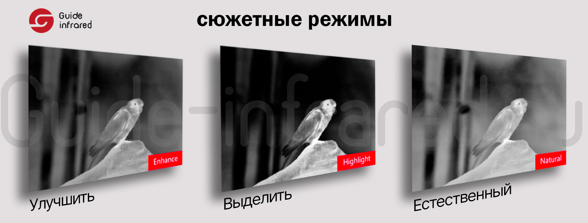 Тепловизионный монокуляр Guide TE211 (256х192px, ø10мм)