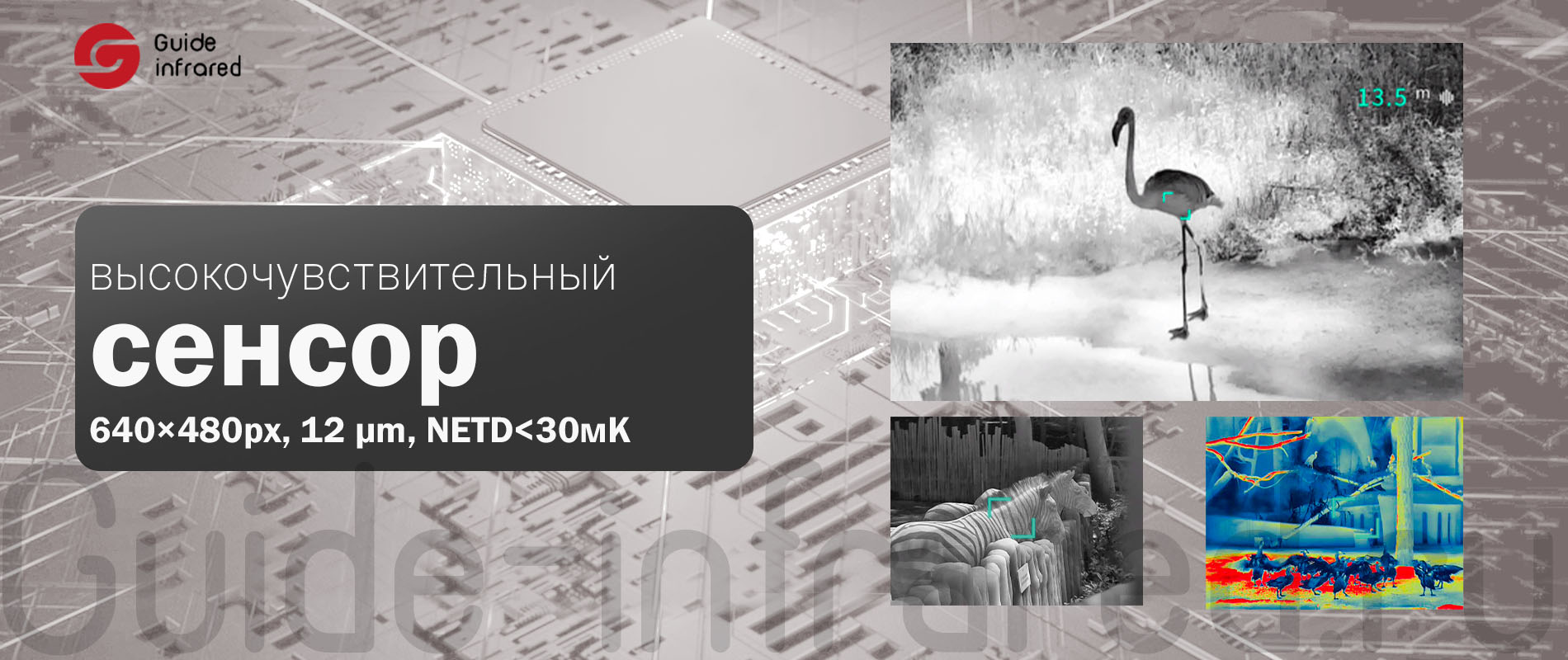 Тепловизионный монокуляр Guide TE211 (256х192px, ø10мм)