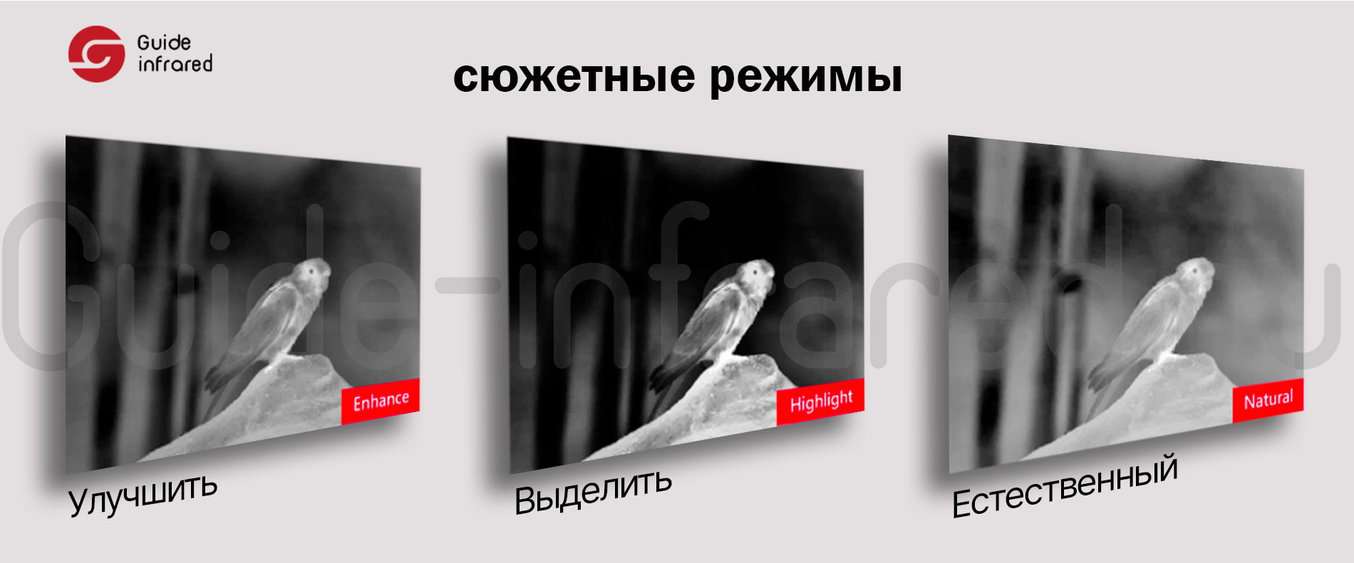 Тепловизионный монокуляр Guide TE211 (256х192px, ø10мм)