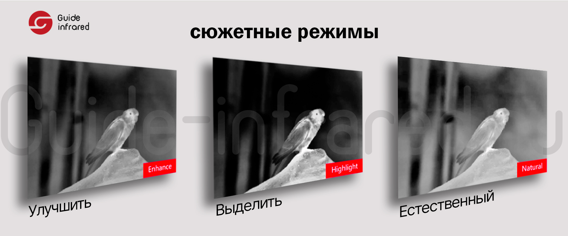 Тепловизионный монокуляр Guide TE211 (256х192px, ø10мм)