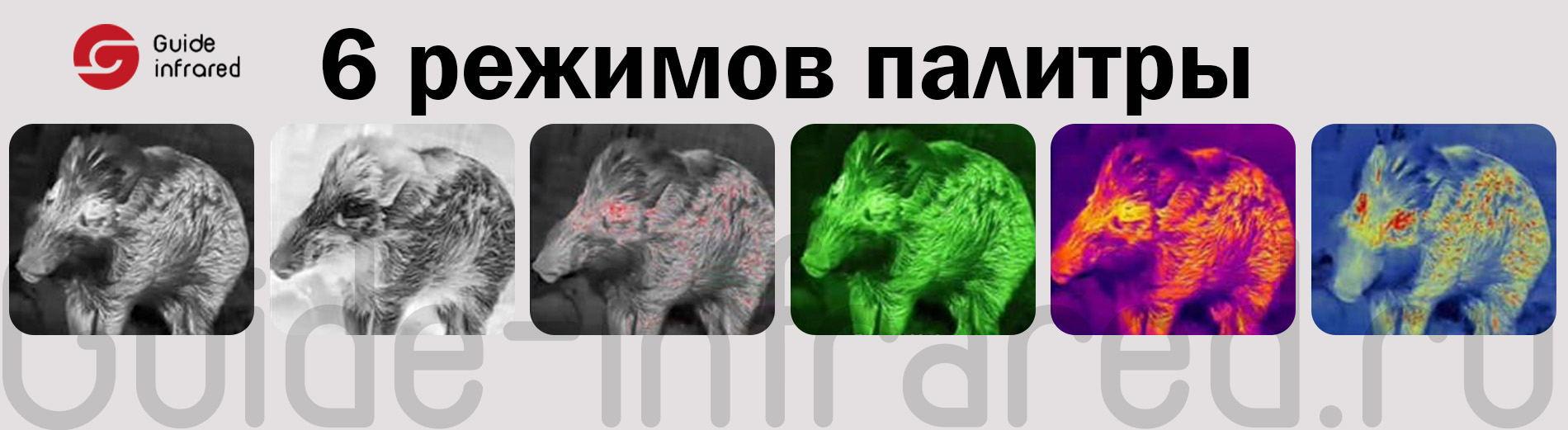 Тепловизионный монокуляр Guide TE211 (256х192px, ø10мм)