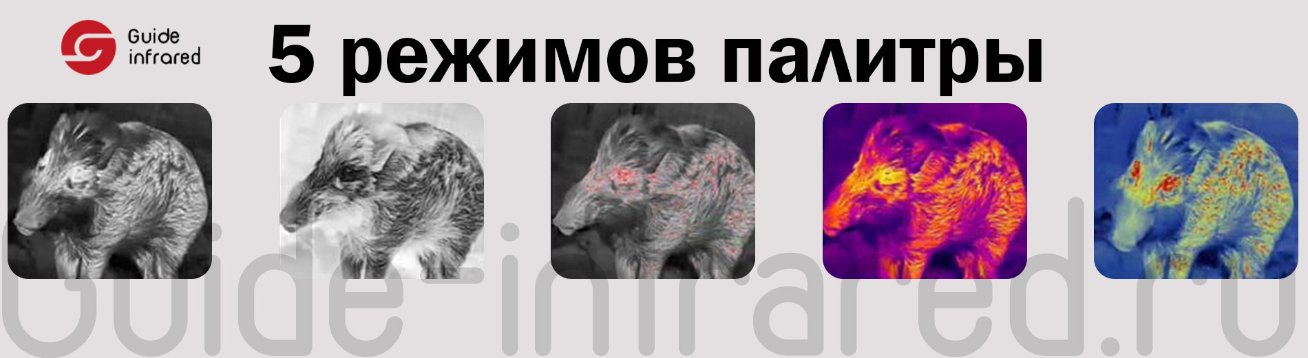 Тепловизионный монокуляр Guide TE211 (256х192px, ø10мм)