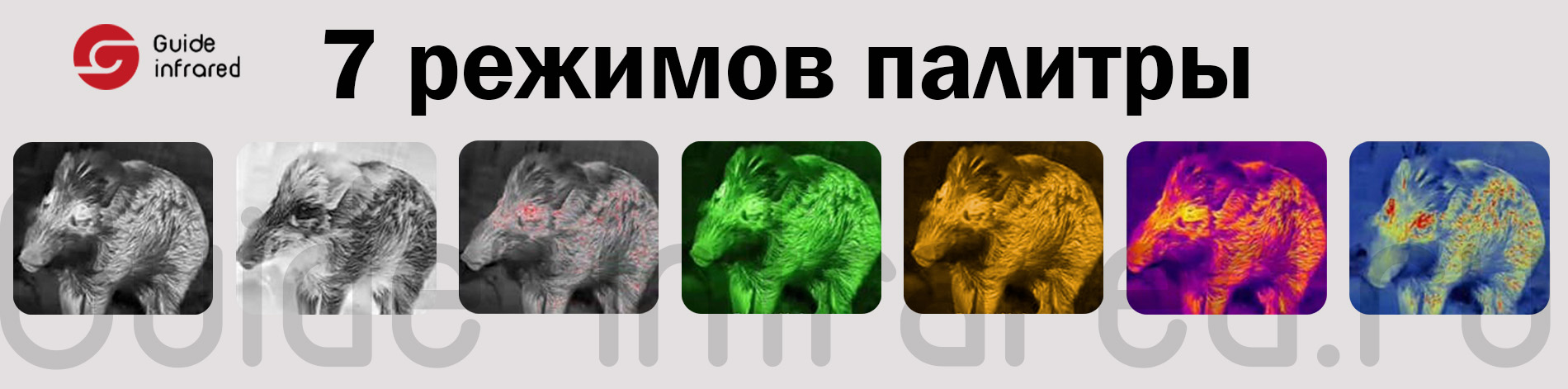 Тепловизионный монокуляр Guide TE211 (256х192px, ø10мм)