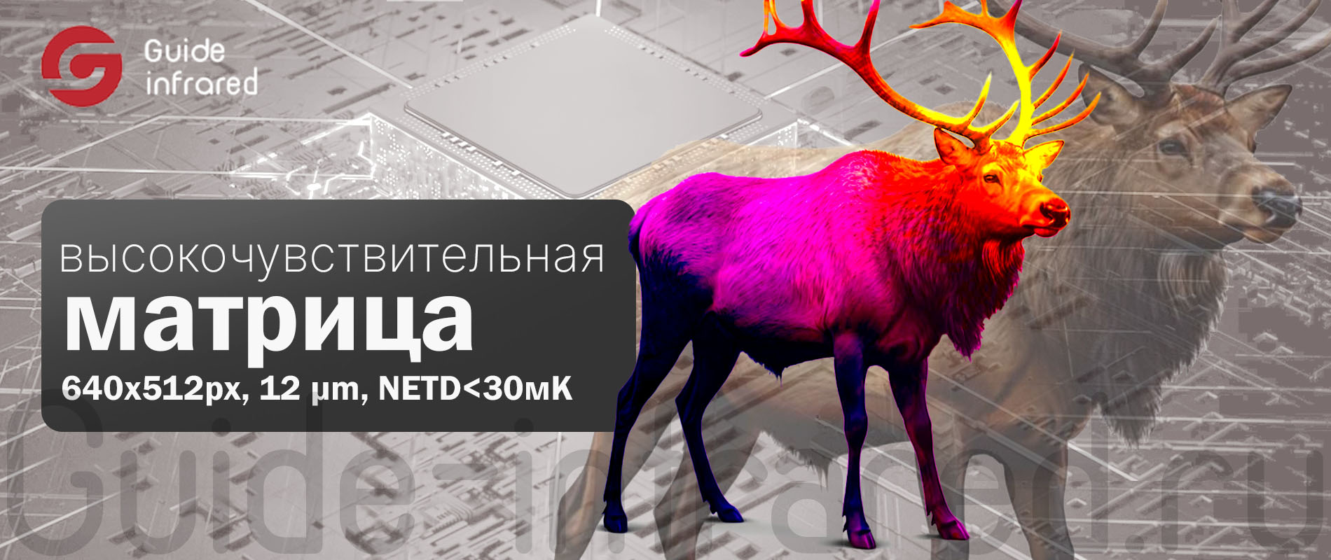 Тепловизионный монокуляр Guide TE211 (256х192px, ø10мм)