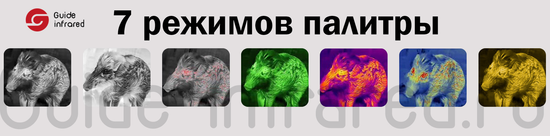 Тепловизионный монокуляр Guide TE211 (256х192px, ø10мм)