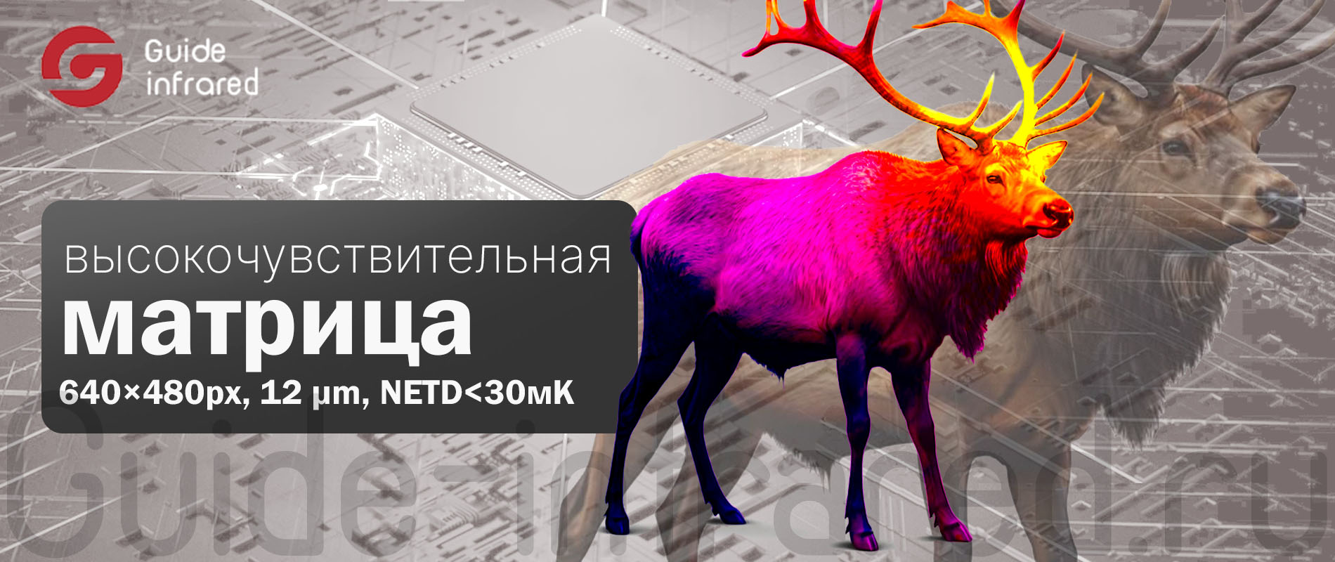 Тепловизионный монокуляр Guide TE211 (256х192px, ø10мм)