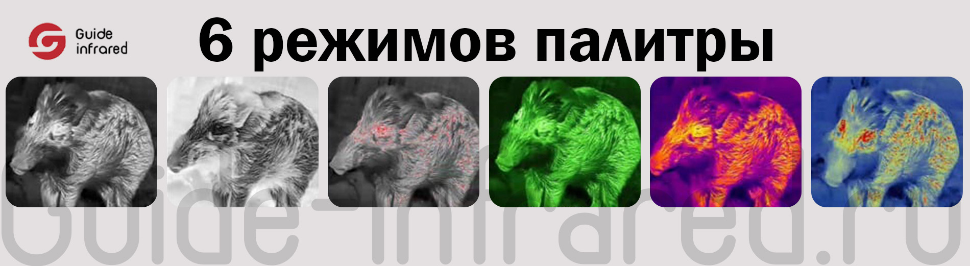 Тепловизионный монокуляр Guide TE211 (256х192px, ø10мм)